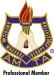 AMTA profmem